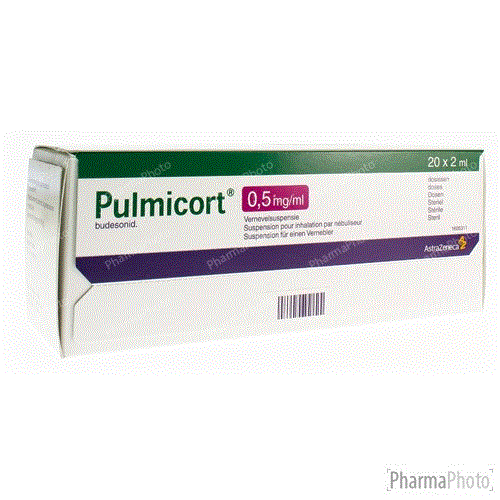 pulmykort-05