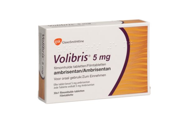 volybrys-5